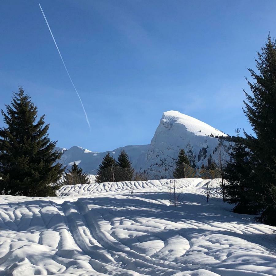 L'Ours Blanc Lodge Le Biot Экстерьер фото